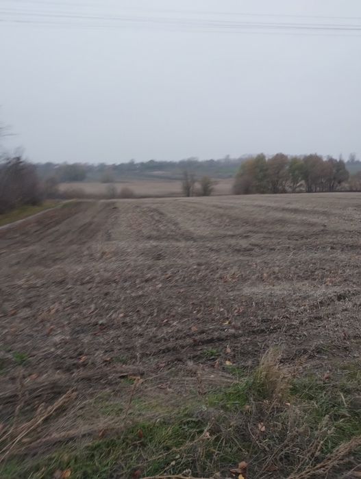 Демонтаж будівель чистка території все під ключ