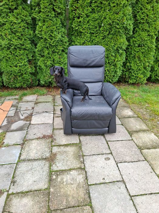 Fotel elektryczny z funkcją wstawania