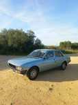 Peugeot 505