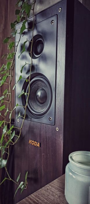 Wzmacniacz Aiyima 300W plus kolumny Koda