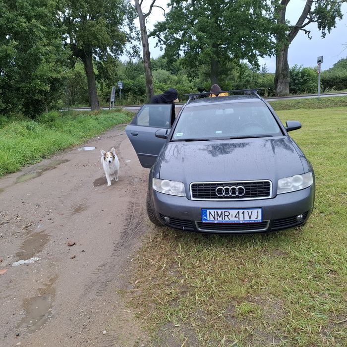 AUDI A4B6 2004r.130 km