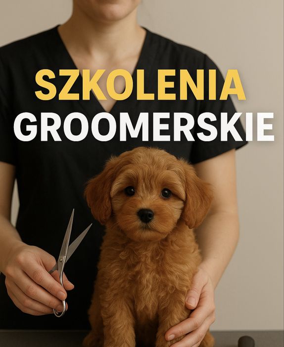 Kurs groomerski 120h I szkolenie groomerskie I psi stylista I groomer