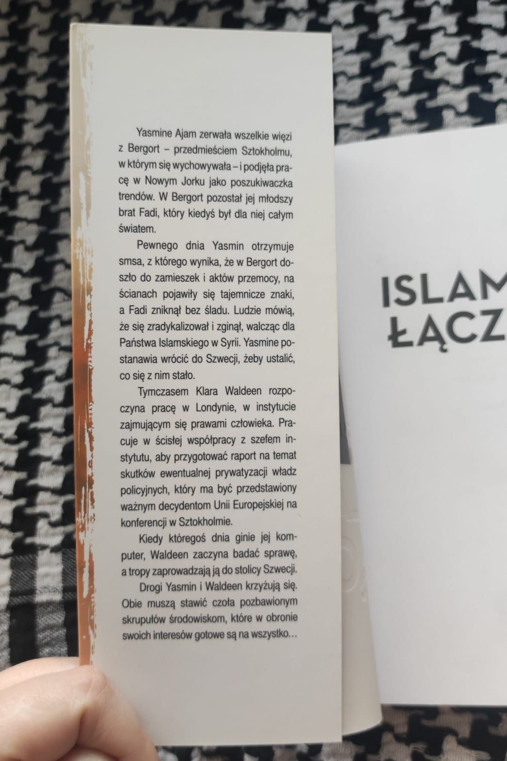 Joakim Zander - Islamski łącznik