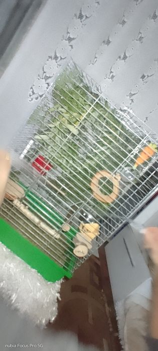 Клітка для пташок