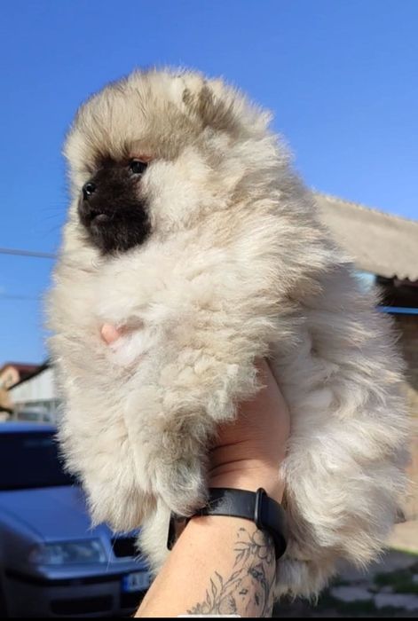 Очень красивая девочка