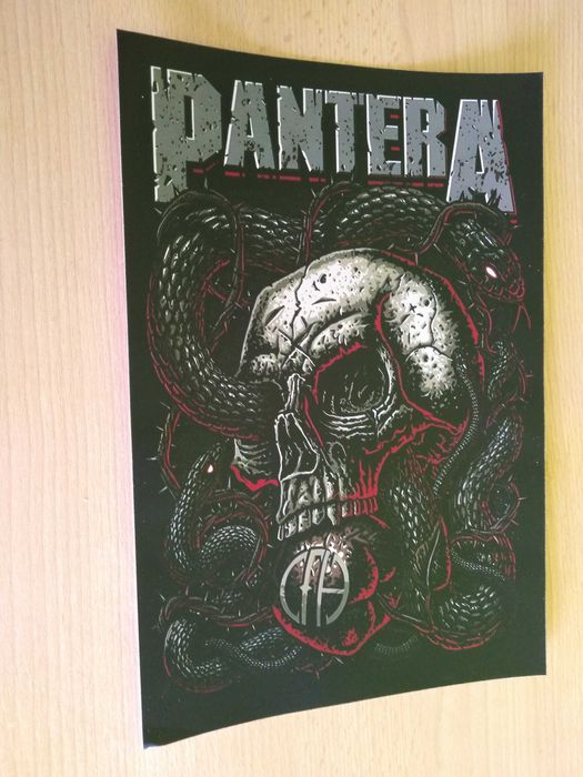 plakat zespołu muzycznego pantera