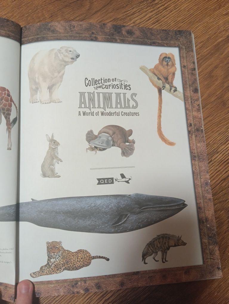 Книга по английскому(для начинающих про живтных)Animals a world wonder