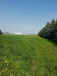 Wynajmę wydzierżawie działkę 3500m2