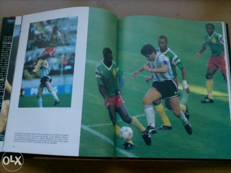 Livro l annee du football