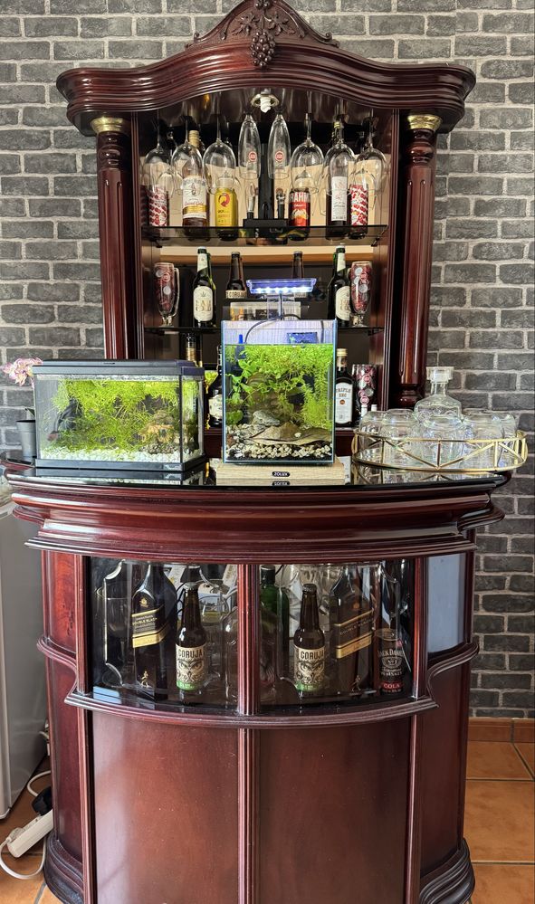 Bar de Sala em Madeira