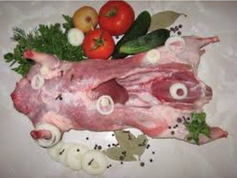Продам мясо  нутрій і кролів