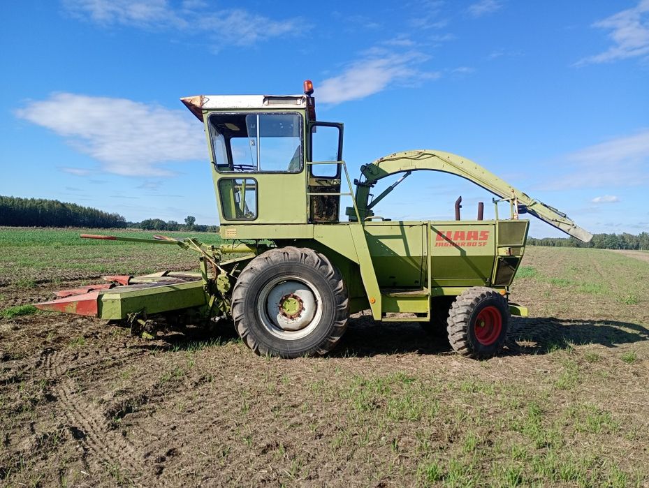 Sieczkarni do kukurydzy Claas jaguar 80sf