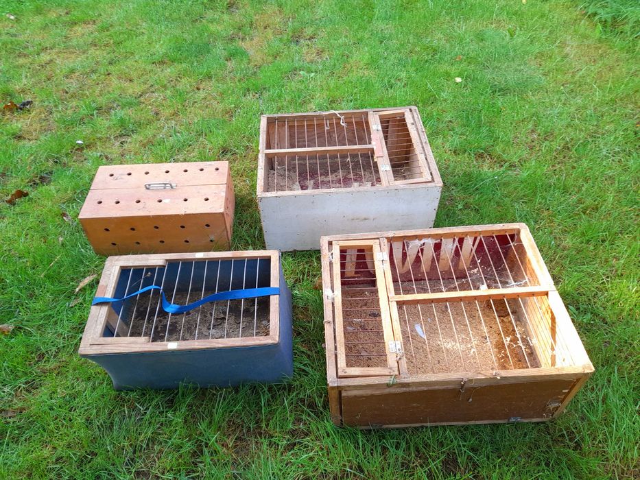 Kosze i karmniki gołębie - zestaw