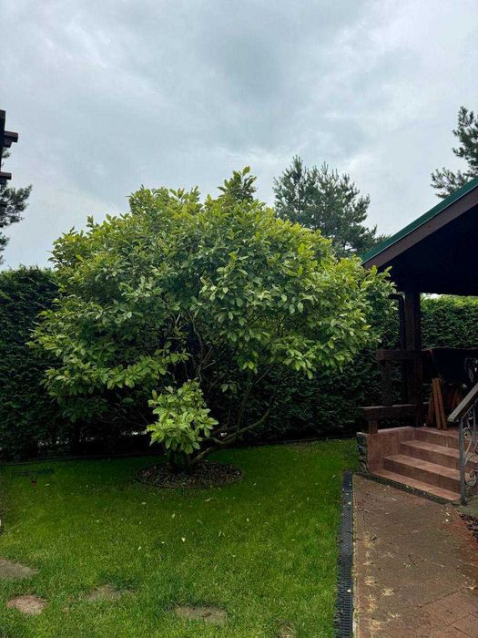 Продаж сучасного будинку 155м2, Київська обл. Без%