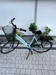 Gazelle cudny kolor mieta chamonix comfort