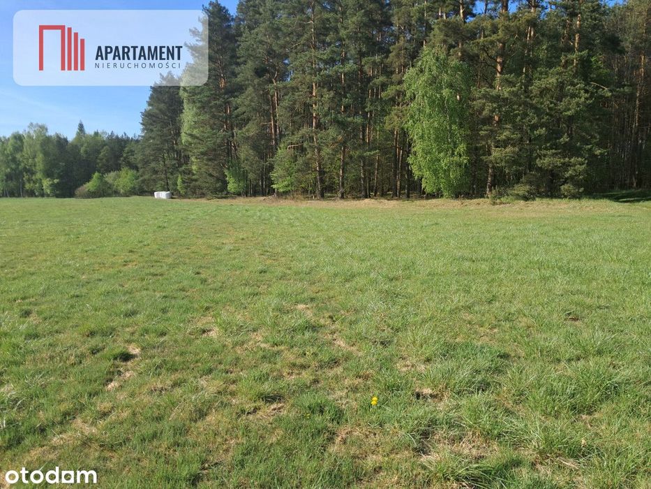 Działki rolne 2,06 ha – Górzna k. Złotowa