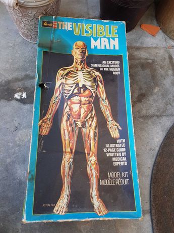 Vintage the visible man the Revell