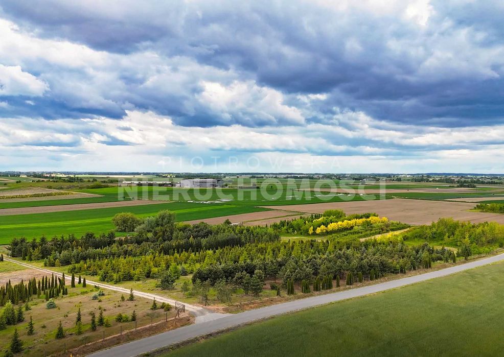 działki budowlane do sprzedania Warta