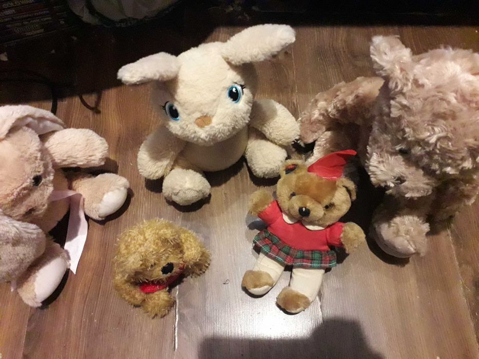zestaw maskotek pluszaków miski i zające