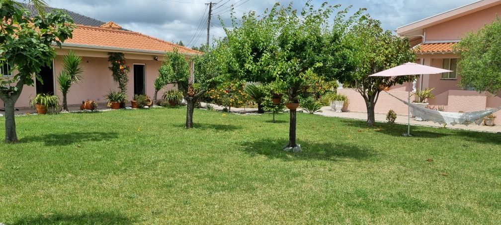 Aportunidade de investimento,