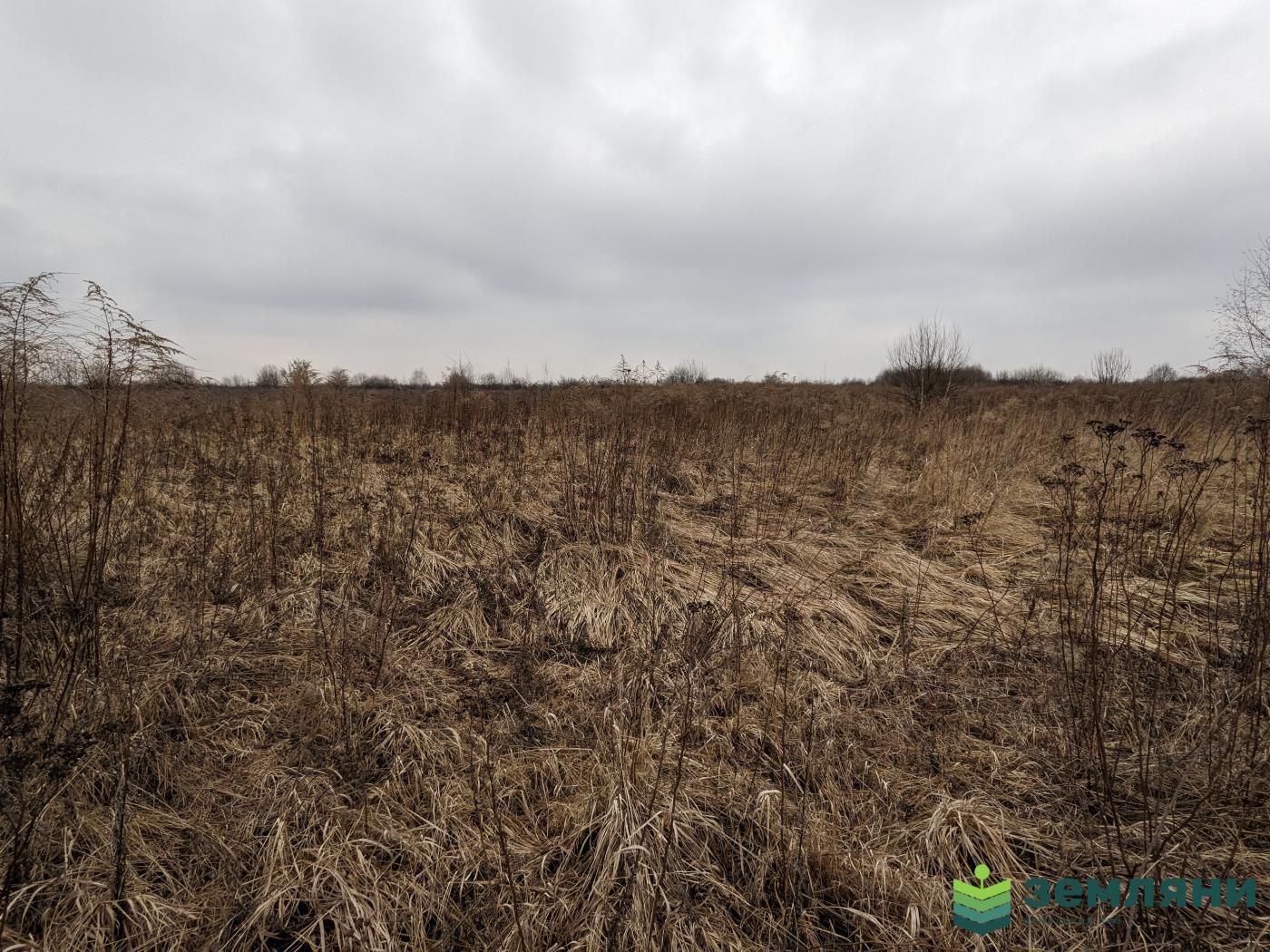 Продається ділянка 20 сот СГ призначення в с. Чукалівка