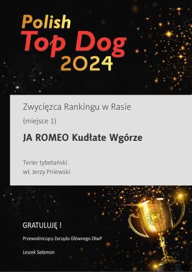 Terier tybetański - nie terier, cudowne szczenię piesek,. Rodowód ZKwP
