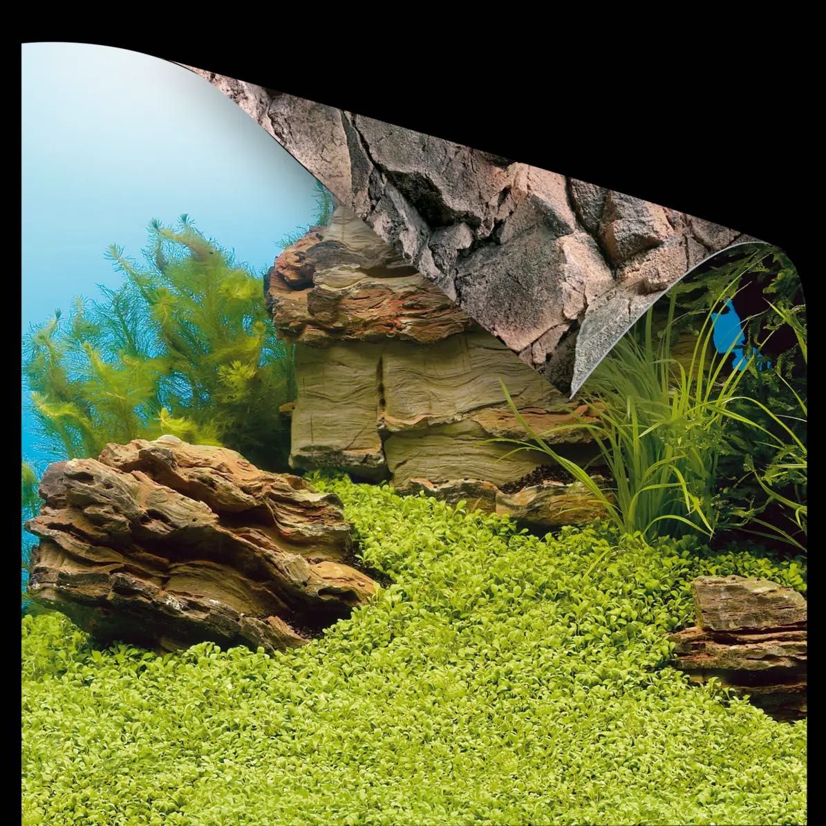 Задній фон 3розміри 4види двосторонній JUWEL задньої стінки акваріума
