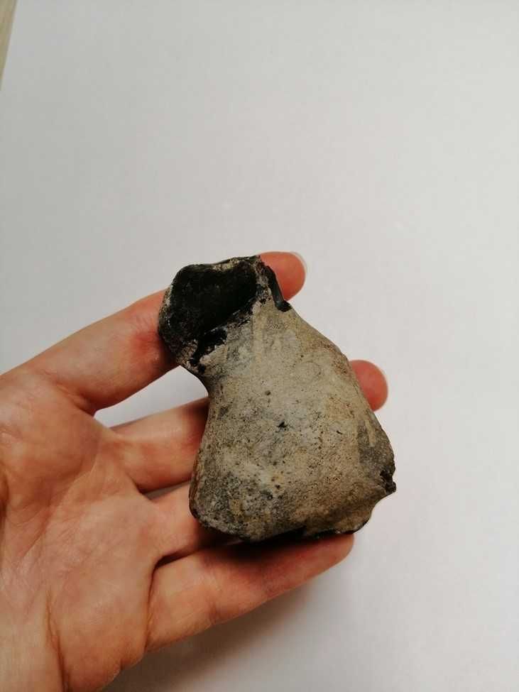 Skamielina, skamieniałość. Rozmiar 7x4,5 cm, waga 120g.