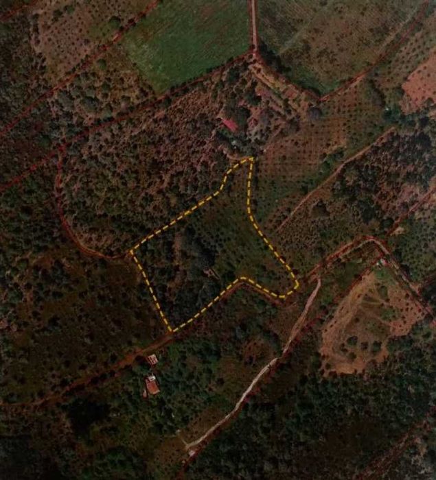 Quinta em São Salvador da Aramenha Marvão Portalegre Alto Alentejo