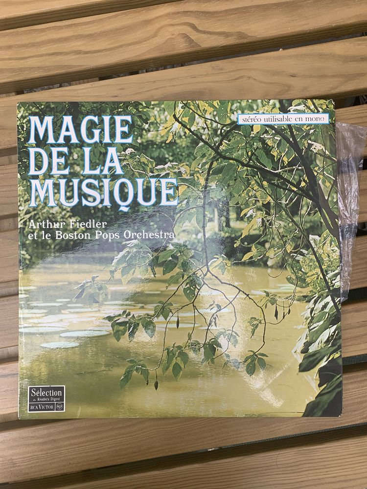 Discos de vinil variados