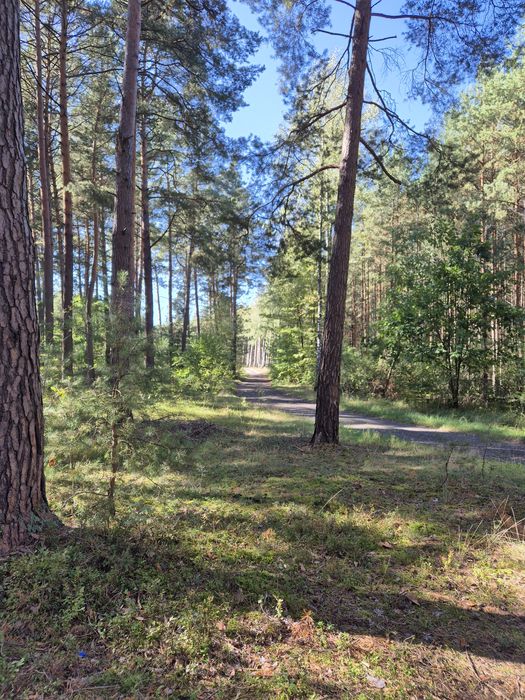 Noclegi na wsi nad rzeką