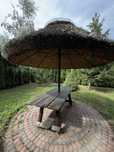 Parasol ogorodwy