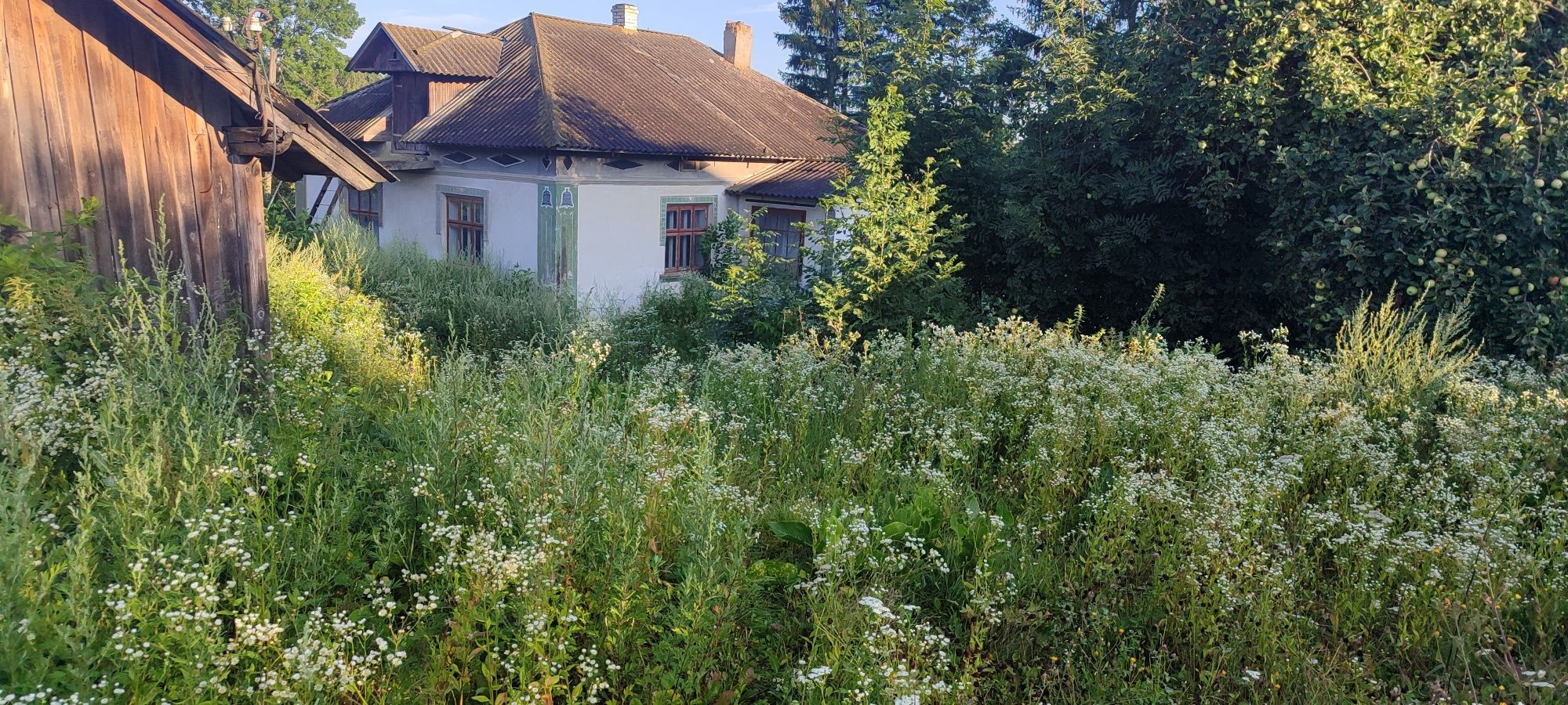 Зачистка території, дачів, дачних ділянок, садів. Покос трави.