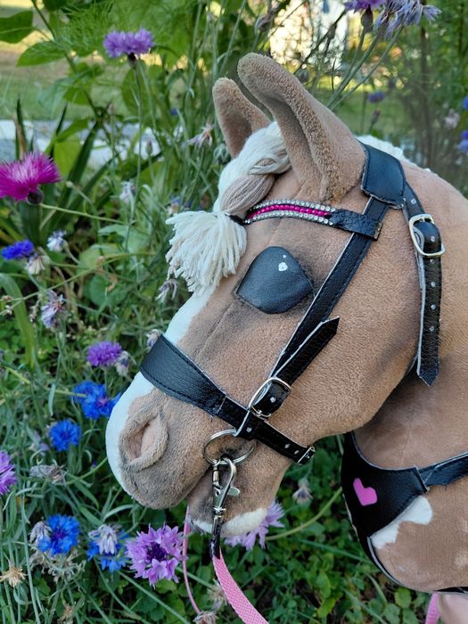 Sprzedam zestaw dla hobby horse A4