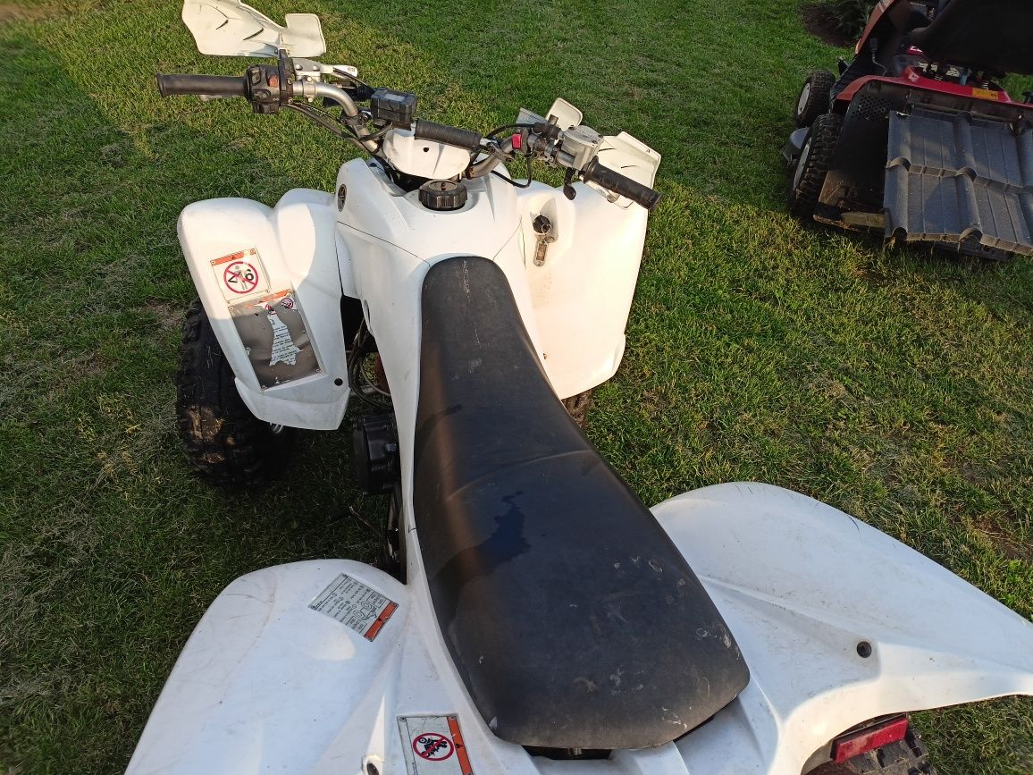 Yamaha raptor 350