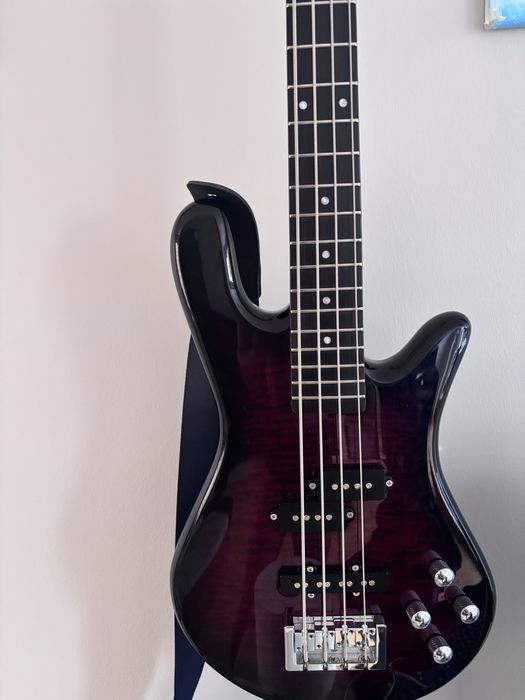 Spector (Gitara Basowa)