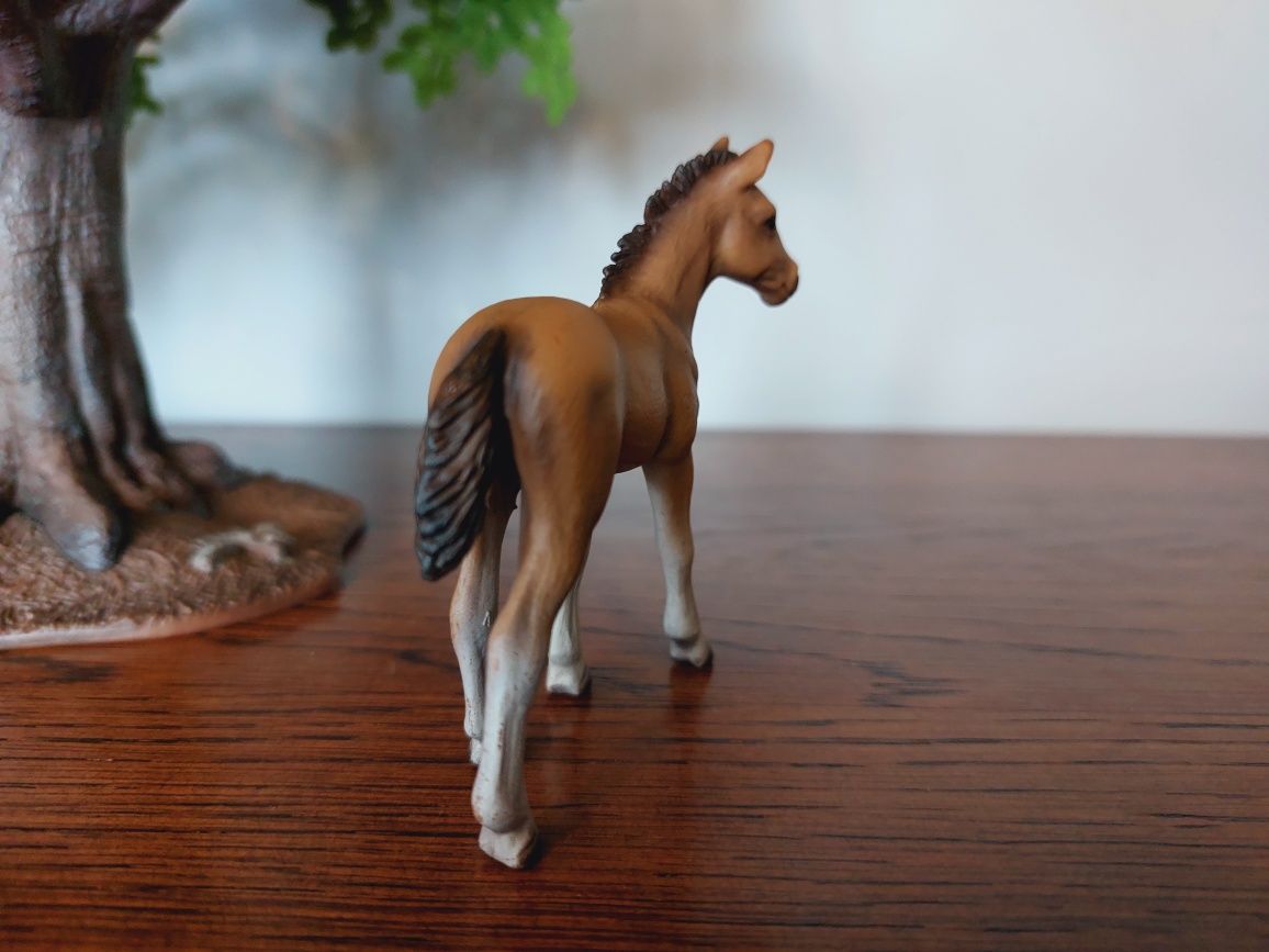 Źrebak hanowerski schleich