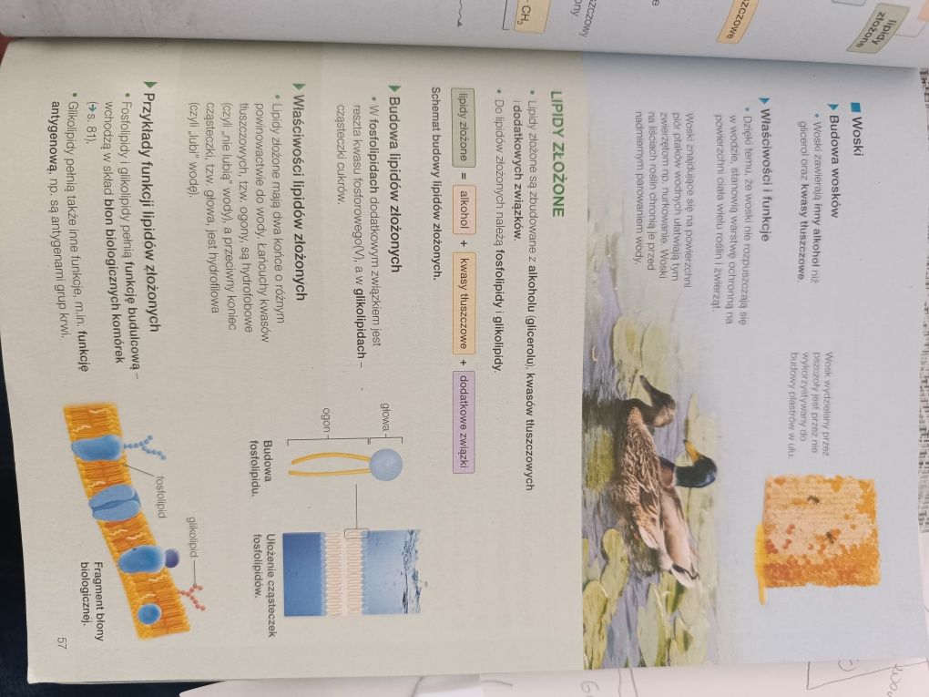Książka Biologia na czasie 1