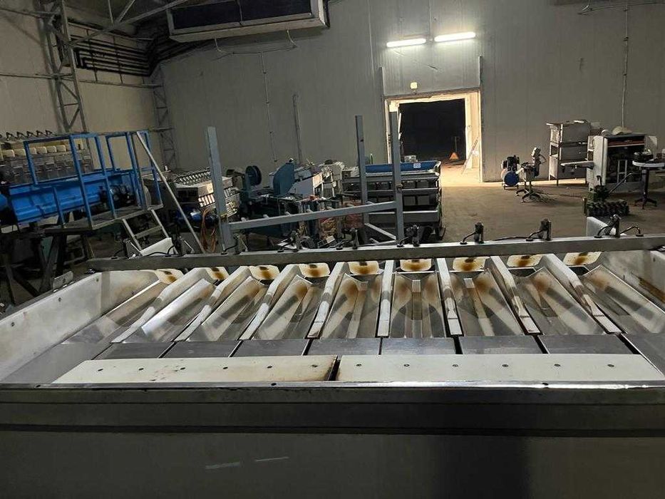 Waga kanałowa 2009 XBG do warzyw, ziemniaków cebuli marchwi pietruszki