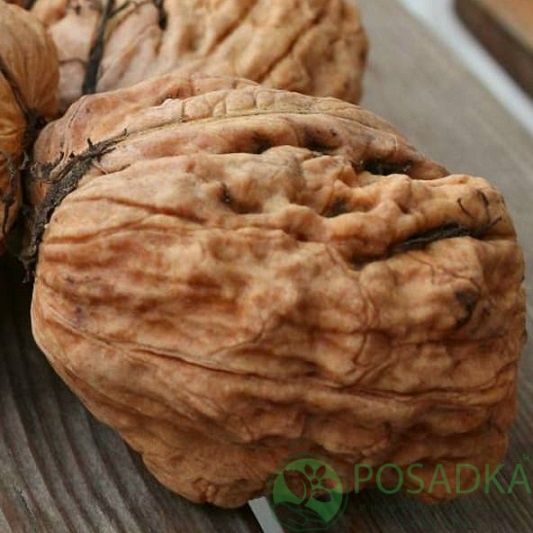 Терміново! Потрібна Ваша допомога!!!