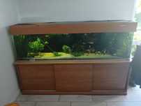 Akwarium 500 litrów.  200x50x50