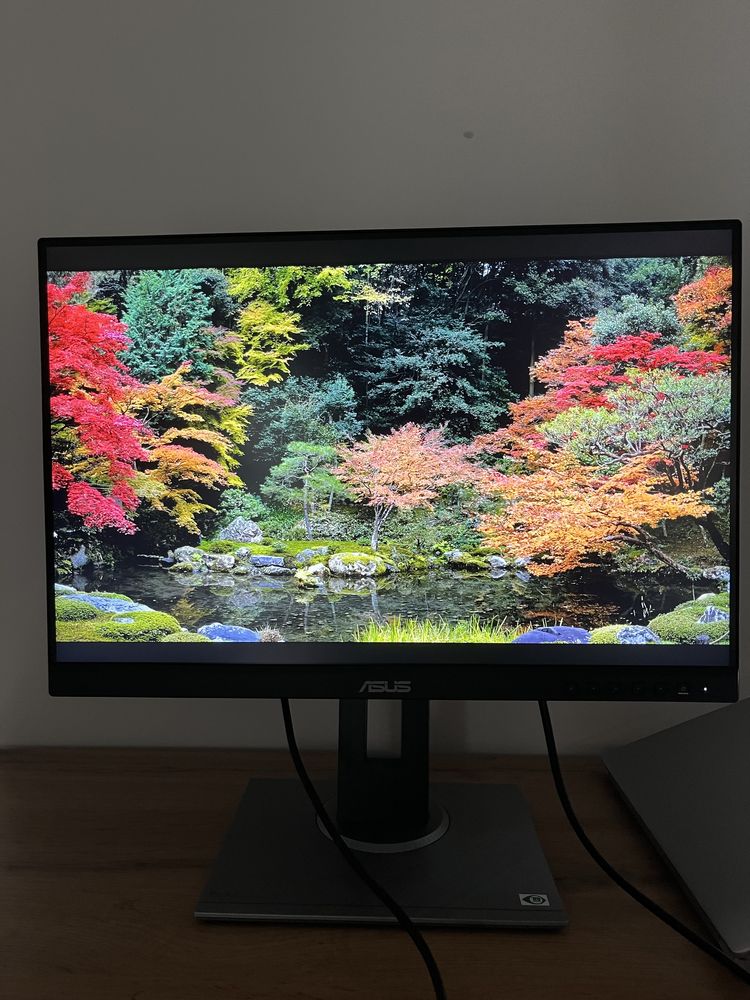 Monitor ASUS ProArt PA248QV 24 cale