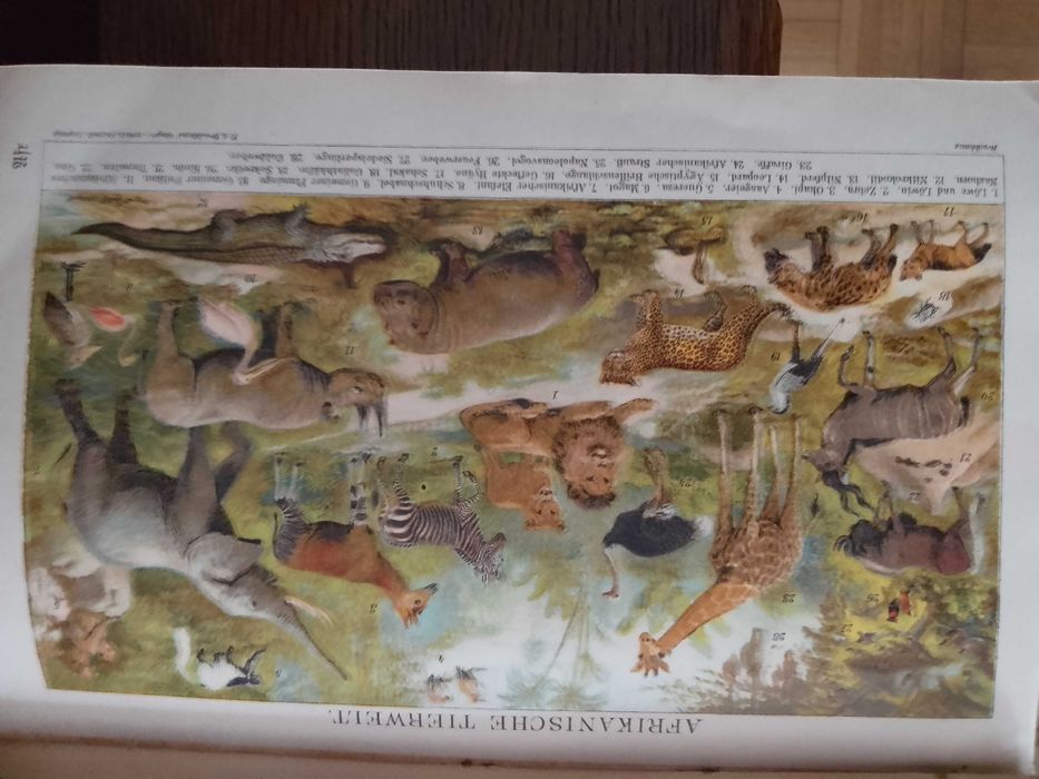 Piękne litografie
