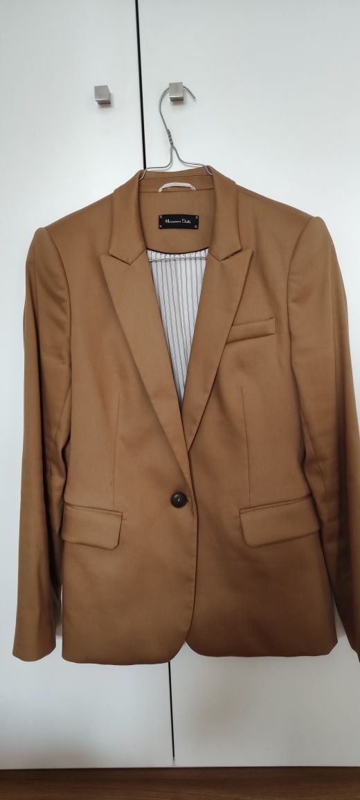 Blazer Massimo Dutti - Camel