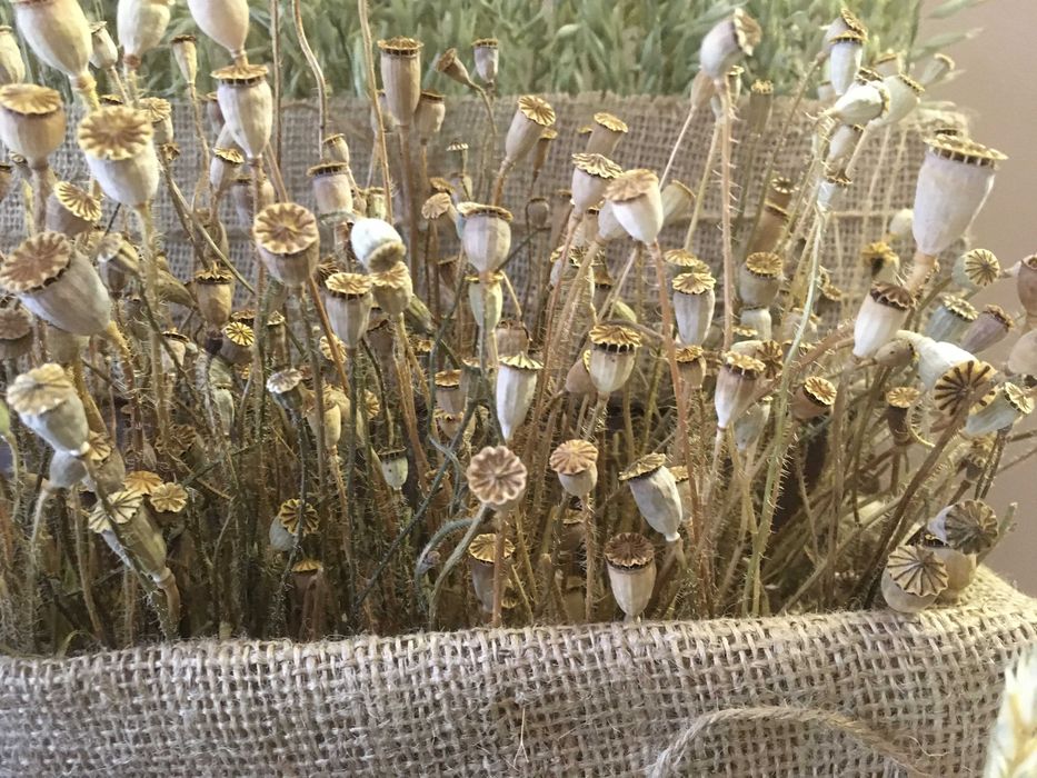 Букети - сухоцвіти польового та декоративного маку.