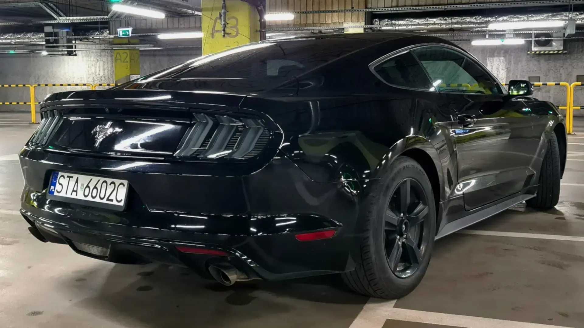 Ford MUSTANG wynajem wypożyczalnia 24h