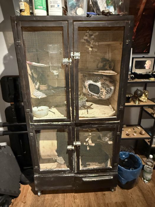 Woliera dla Szynszyli i innych gryzoni