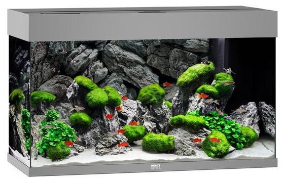 Juwel akwarium z wyposażeniem RIO 125, oświetlenie LED, grzałka, filtr