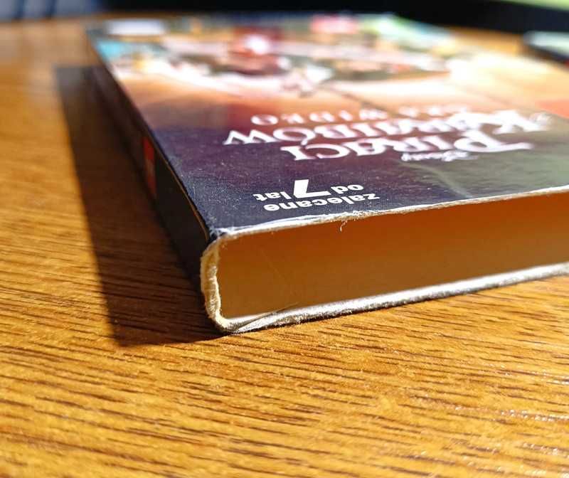 Gry dla dzieci na komputer PC Lego Piraci z Karaibów DVD Rom płytka