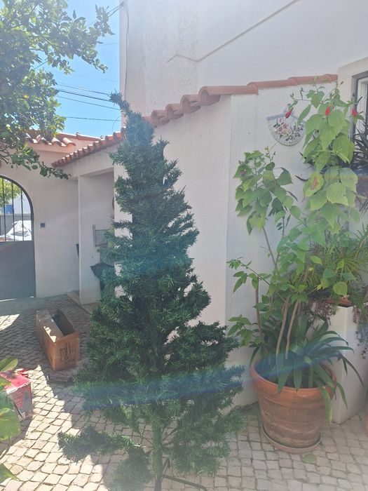 Arvore de natal completa